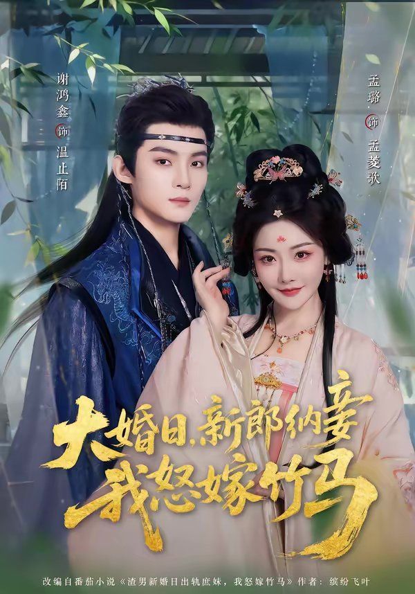 大婚日，新郎纳妾我怒嫁竹马